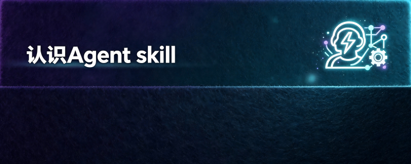 认识Agent skill